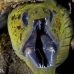 moray_fimbriated_bhr_tam_v_0458_bal6322.jpg